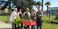 Les ateliers jardin thérapeutique à l’accueil de jour